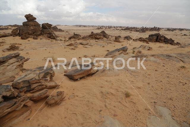 التاريخ القديم في المملكة العربية السعودية العريقة