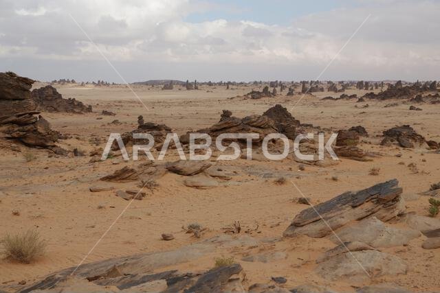 التاريخ القديم في المملكة العربية السعودية العريقة