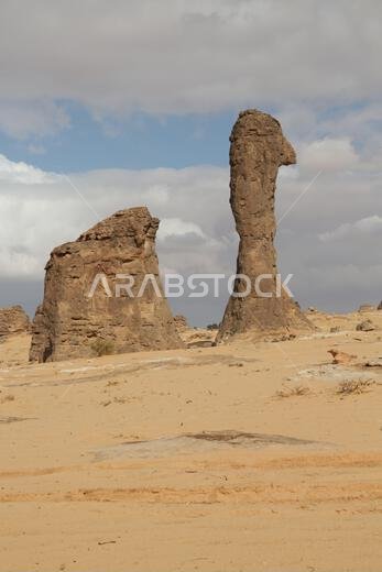 التاريخ القديم في المملكة العربية السعودية العريقة التاريخ القديم في المملكة العربية السعودية العريقة