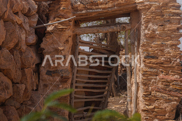 باب خشبي قديم متهالك ومكسور لأحد المباني الأثريه القديمه في المملكه العربيه السعوديه, قرية أثريه تاريخيه قديمه, السياحه في السعوديه