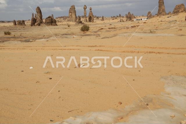 التاريخ القديم في المملكة العربية السعودية العريقة