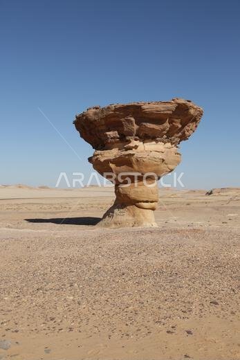 التاريخ القديم في المملكة العربية السعودية العريقة