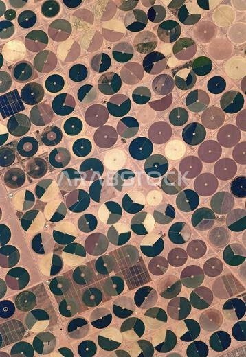منظر للأرض من محطة الفضاء الدولية: أشكال الري في الصحراء. المملكة العربية السعودية. نسخة محسّنة رقميًا من صورة لوكالة ناسا/وكالة الفضاء الأوروبية. حقوق الصورة محفوظة: ناسا/وكالة الفضاء الأوروبية/تي. بيسكيه. ملاحظة: قيود الاستخدام: لا يُقصد بهذا العرض الترويج أو التأييد.