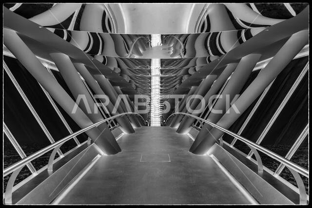 Riyadh Sky Bridge - various