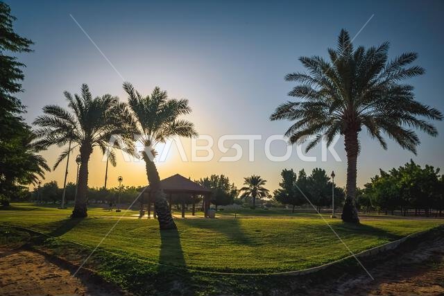 منظر صباحي في أكوا بارك الجبيل، المملكة العربية السعودية. منظر صباحي في أكوا بارك الجبيل، المملكة العربية السعودية.