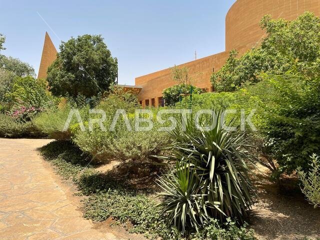 A garden of trees and palms in the summer in the city center under the blue sky