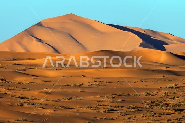 Saudi Arabia desert photo by Tariq ALmutlaq