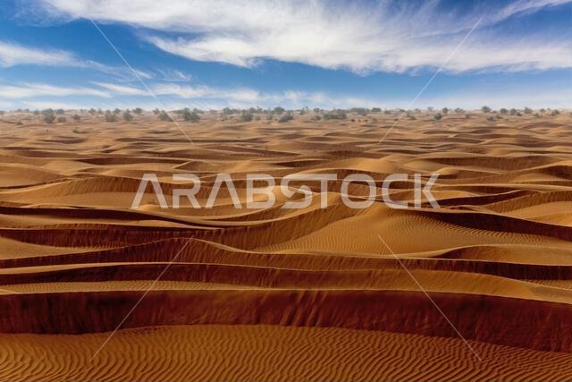 Sand dunes in the desert, Saudi Arabia