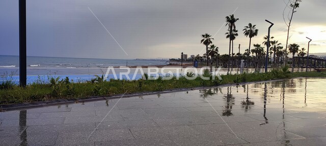 A panoramic picture of the seaside, waterfront, trees and plants, scenic beauty of nature, tourist places
