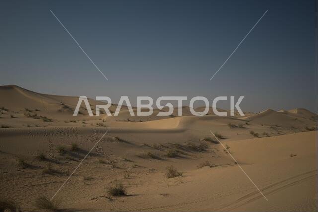 Beautiful Culture in Dubai