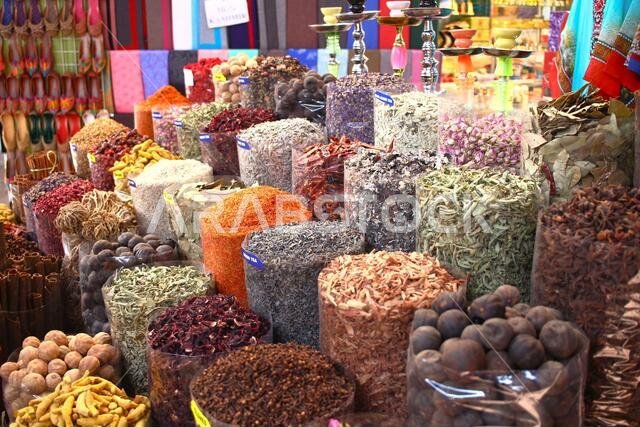 ثقافة جميلة في دبي