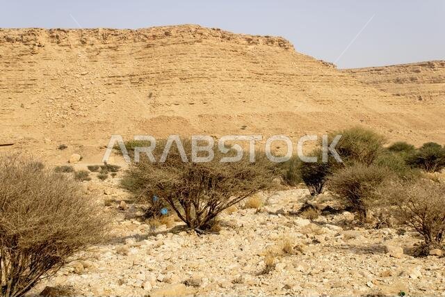 The bed of the Sha'ib Luha valley south of Riyadh, Saudi Arabia