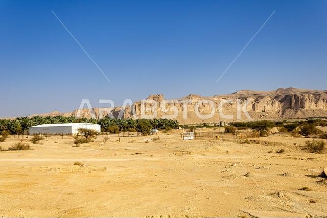 Date farms at the piedmont of Jabal Tuwaiq, Almufaiger, Saudi Arabia