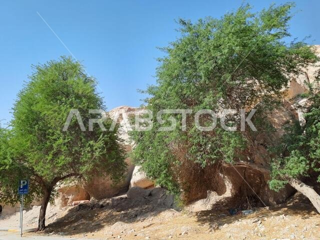 H, SAUDI ARABIA - Aug 20, 2021: The location near Al Qarah Mountains, in Al Hofuf, Saudi Arabia during daylight