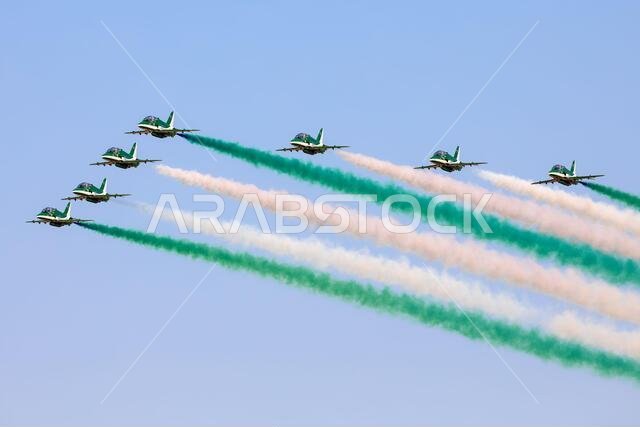 Saudi Hawks