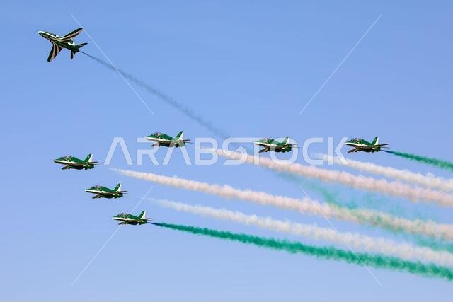 Saudi Hawks