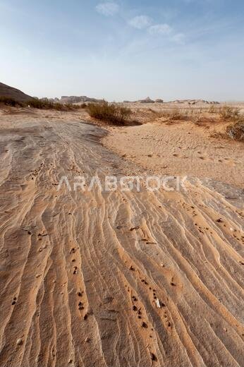 تكوينات صخرية من الحجر الرملي ذات أشكال غريبة في الصحراء قرب المدينة المنورة والعلا ومدائن صالح في المملكة العربية السعودية