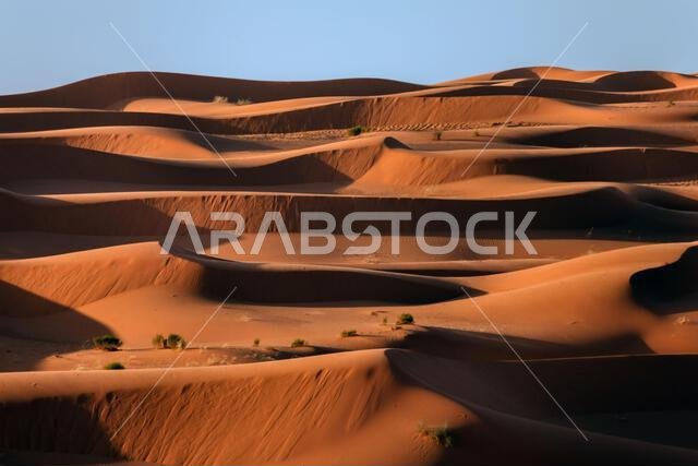 Sand dunes in the desert, Saudi Arabia