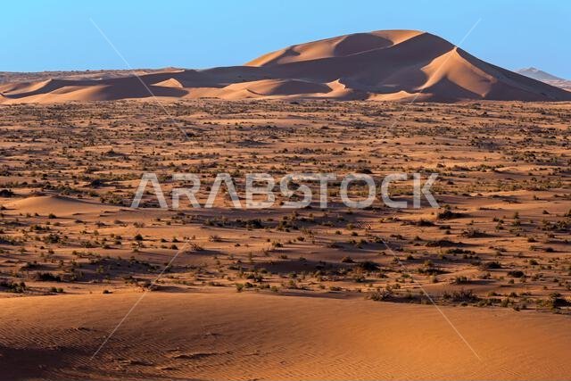 كثبان رملية في الصحراء، المملكة العربية السعودية