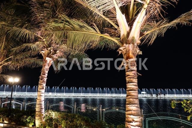 Circuit atmosphere. 02.12.2021. Formula 1 World Championship, Rd 21, Saudi Arabian Grand Prix, Jeddah, Saudi Arabia, Preparation Day.  Photo credit should read: XPB/Press Association Images.