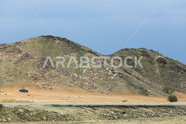 saudi arabia desert landscape