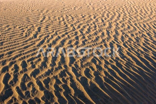 sand dunes in saudi arabia