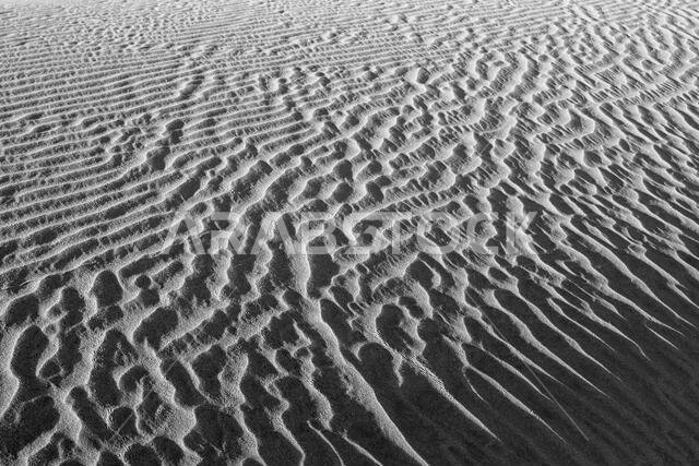 sand dunes in saudi arabia