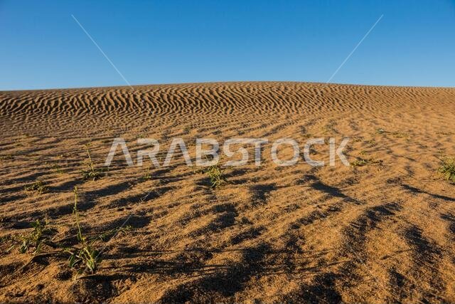الكثبان الرملية في المملكة العربية السعودية