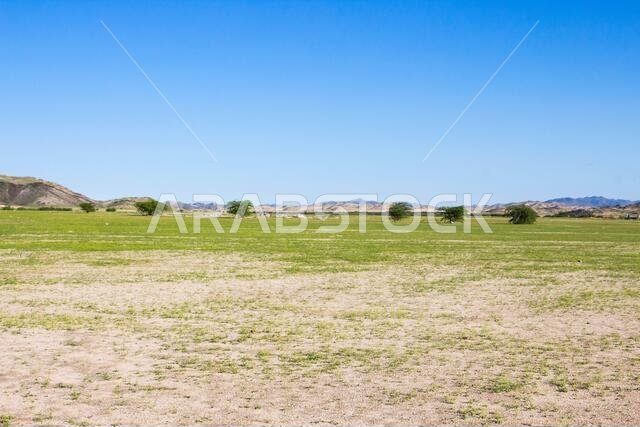 saudi arabia desert landscape