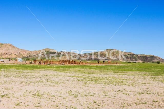 saudi arabia desert landscape