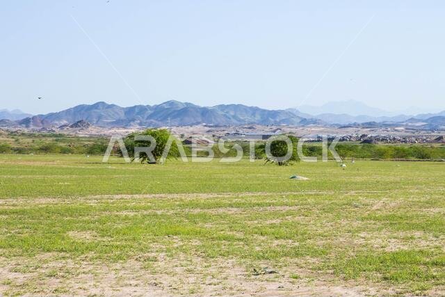 المناظر الطبيعية الصحراوية في المملكة العربية السعودية