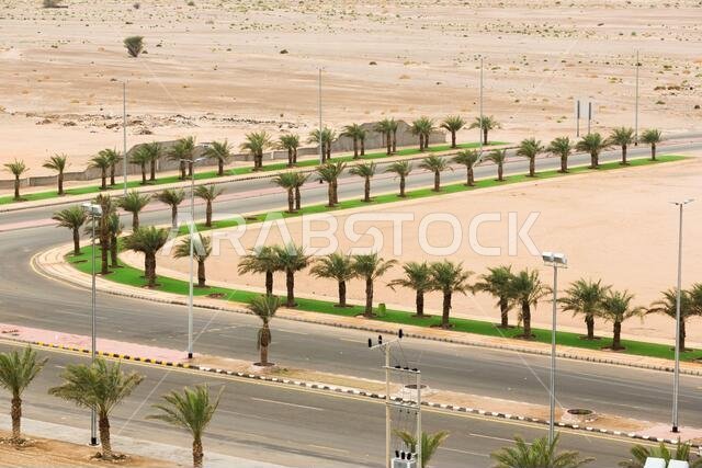 الطريق الصحراوي السعودي