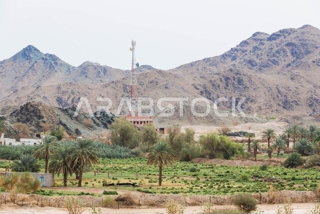 البيت القديم في ينبع النخل، المنطقة التاريخية، المملكة العربية السعودية