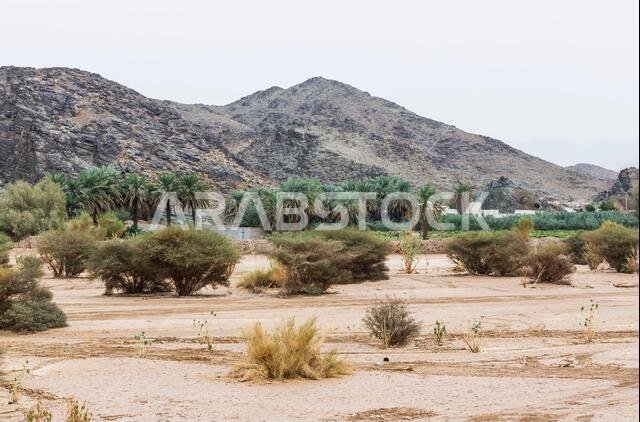 البيت القديم في ينبع النخل، المنطقة التاريخية، المملكة العربية السعودية البيت القديم في ينبع النخل، المنطقة التاريخية، المملكة العربية السعودية