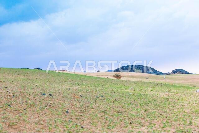 المناظر الطبيعية الصحراوية في المملكة العربية السعودية