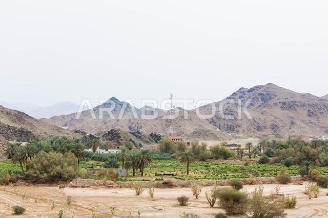 dam al nakhl in yanbu, saudi arabia