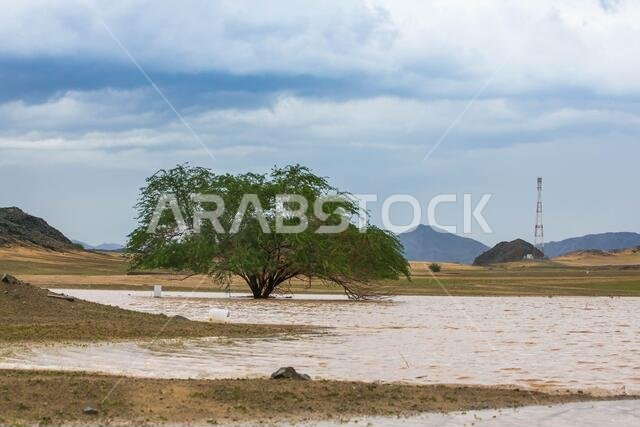 A rainy day at makkah desert, saudi arabia