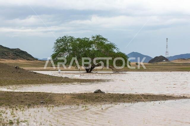 A rainy day at makkah desert, saudi arabia