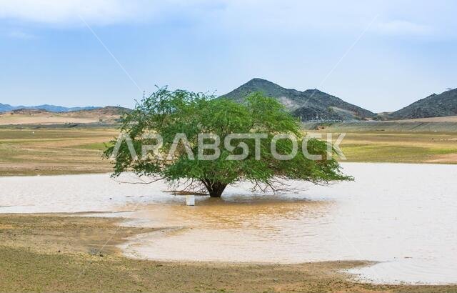 A rainy day at makkah desert, saudi arabia