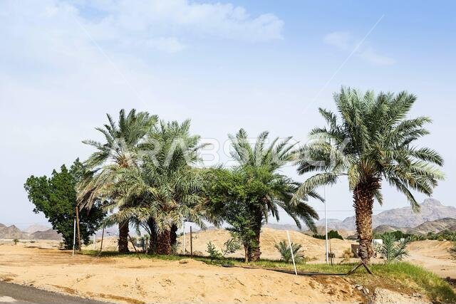 Old House in Yanbu Al Nakhl Historical Place, Saudi Arabia