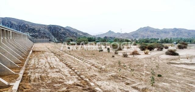 dam al nakhl in yanbu, saudi arabia