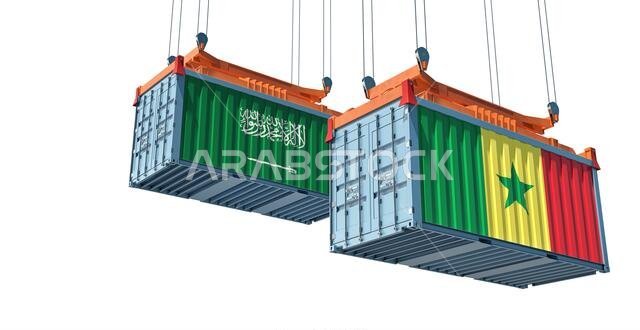 حاويتان للشحن تحملان علمي المملكة العربية السعودية والسنغال. تصميم ثلاثي الأبعاد