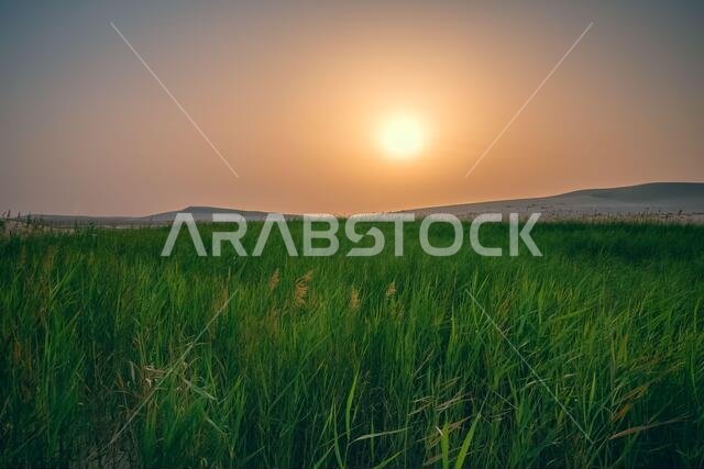 Beautiful Desert landscape view in Dammam Saudi Arabia