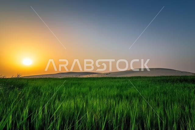 Beautiful Desert landscape view in Dammam Saudi Arabia