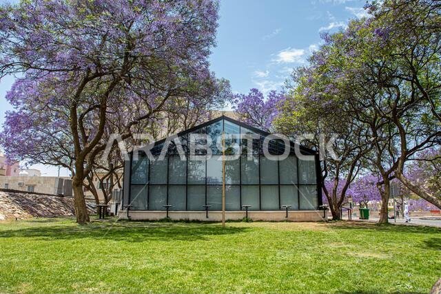 Abha, Saudi Arabia – April 1st 2021: Art Street