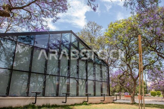 أبها، المملكة العربية السعودية – 1 أبريل 2021: شارع الفن