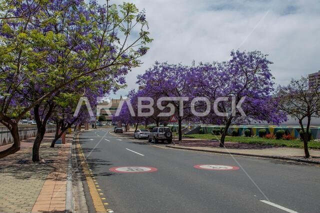 Abha, Saudi Arabia – April 1st 2021: Art Street