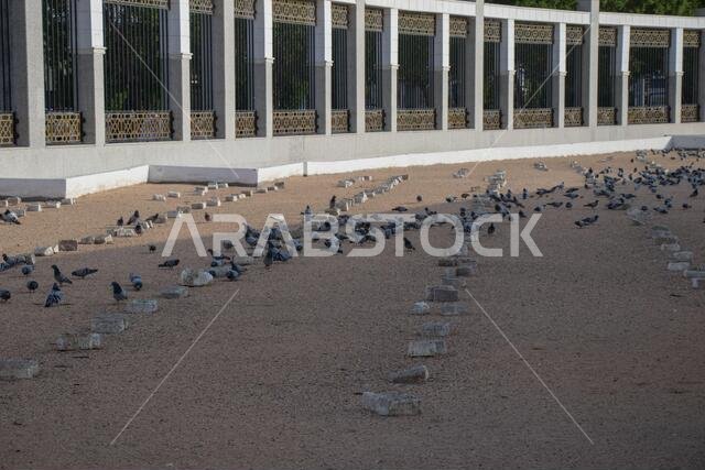 Jannat al-Mualla is Muslim graveyard in Mecca, Saudi Arabia. Jannatul-Mualla Cemetery.