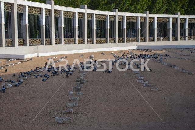 Jannat al-Mualla is Muslim graveyard in Mecca, Saudi Arabia. Jannatul-Mualla Cemetery.