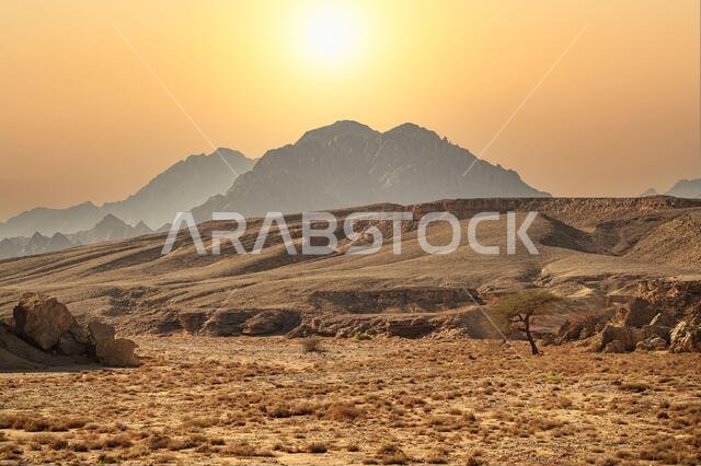 sinai mountains. mountains Sharm el Sheikh at the southern tip of the Sinai Peninsula. Desert with mountains. Sinai, Egypt. Panorama Sand desert Sinai sinai mountains. mountains Sharm el Sheikh at the southern tip of the Sinai Peninsula. Desert with mountains. Sinai, Egypt. Panorama Sand desert Sinai